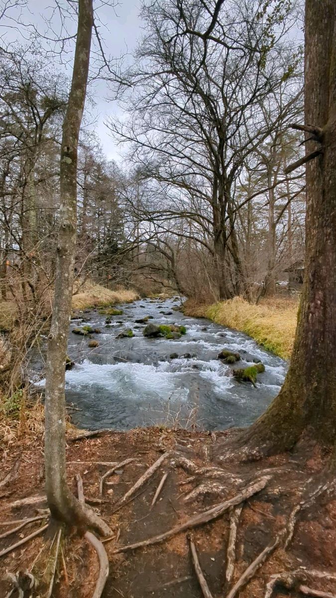 榆樹街小鎮 | 去趣 chicTrip