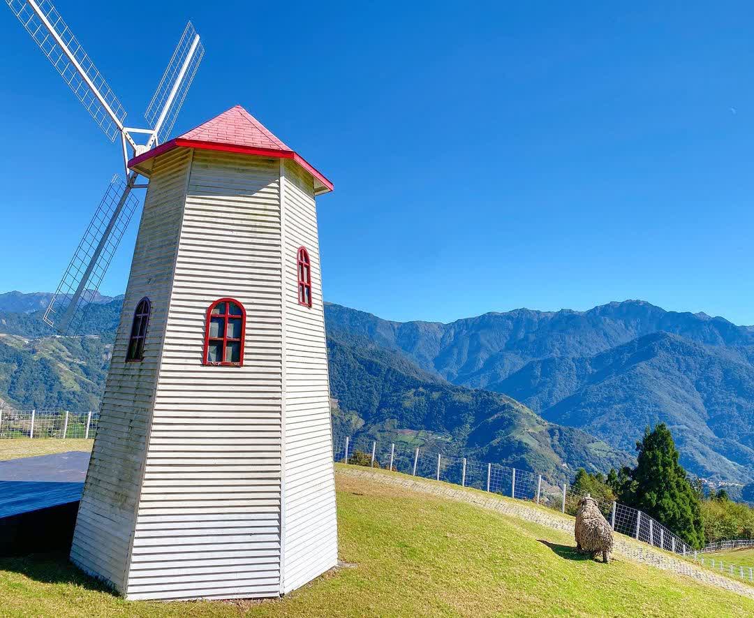 清境農場綿羊秀 | 去趣 chicTrip