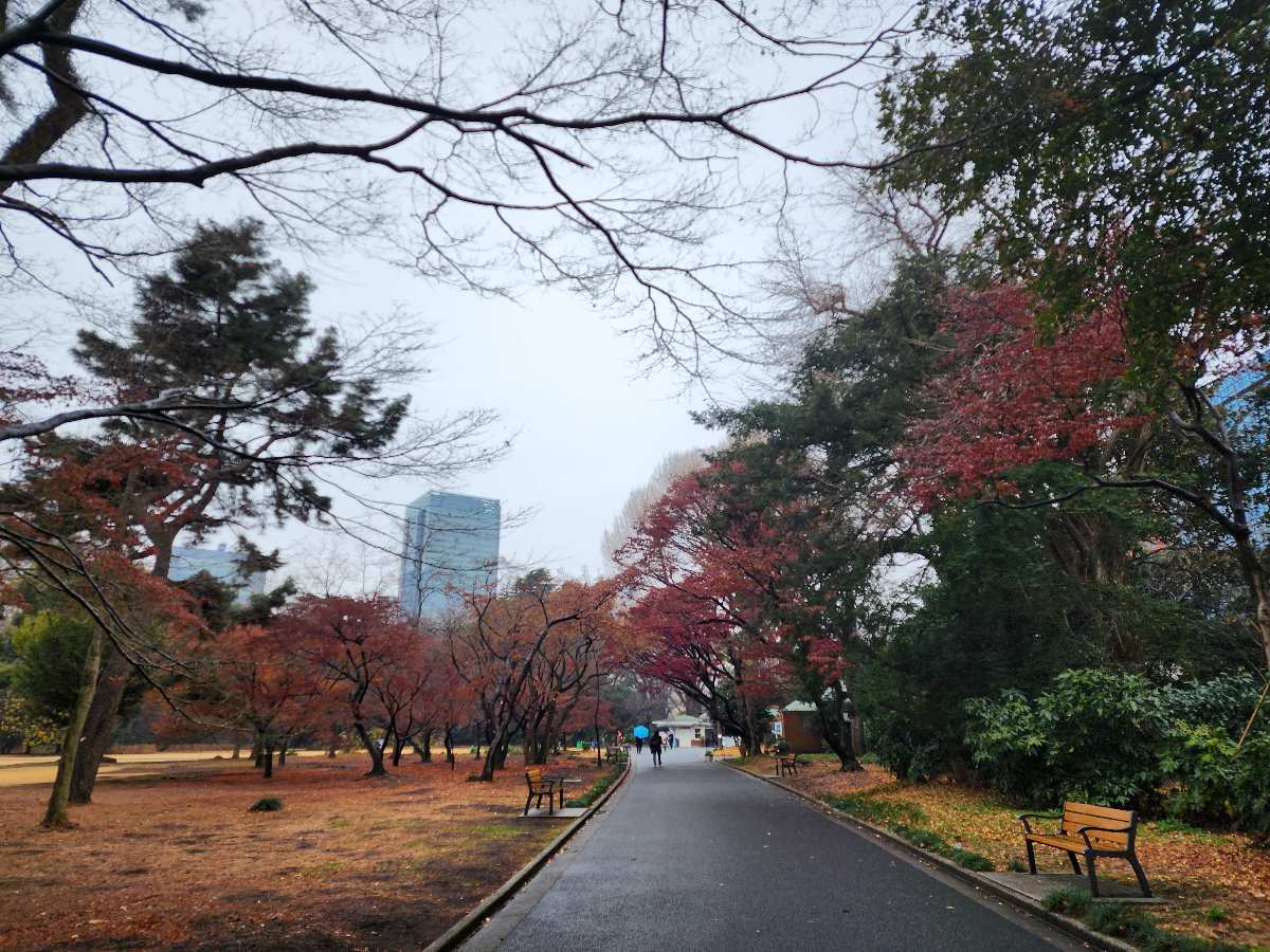 新宿御苑 | 去趣 chicTrip