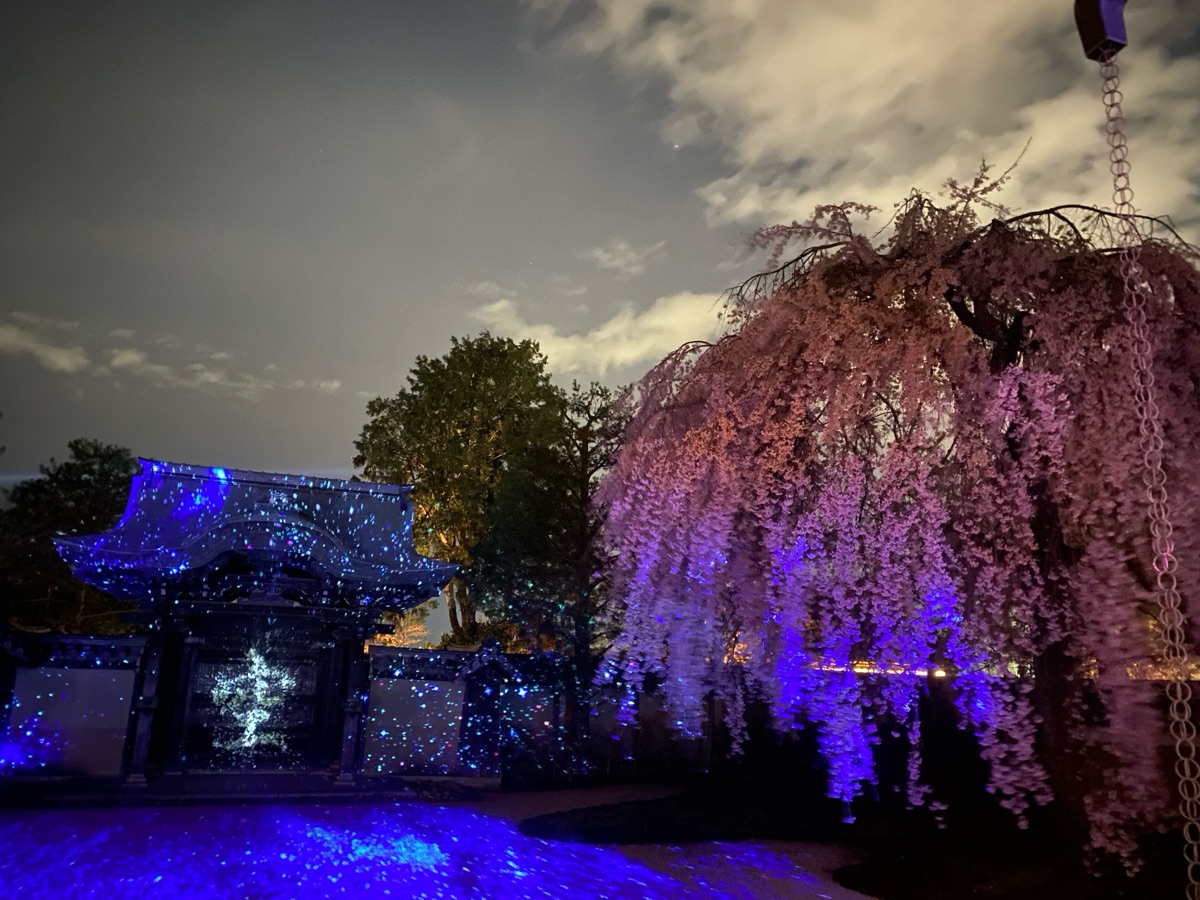 高台寺 | 去趣 chicTrip