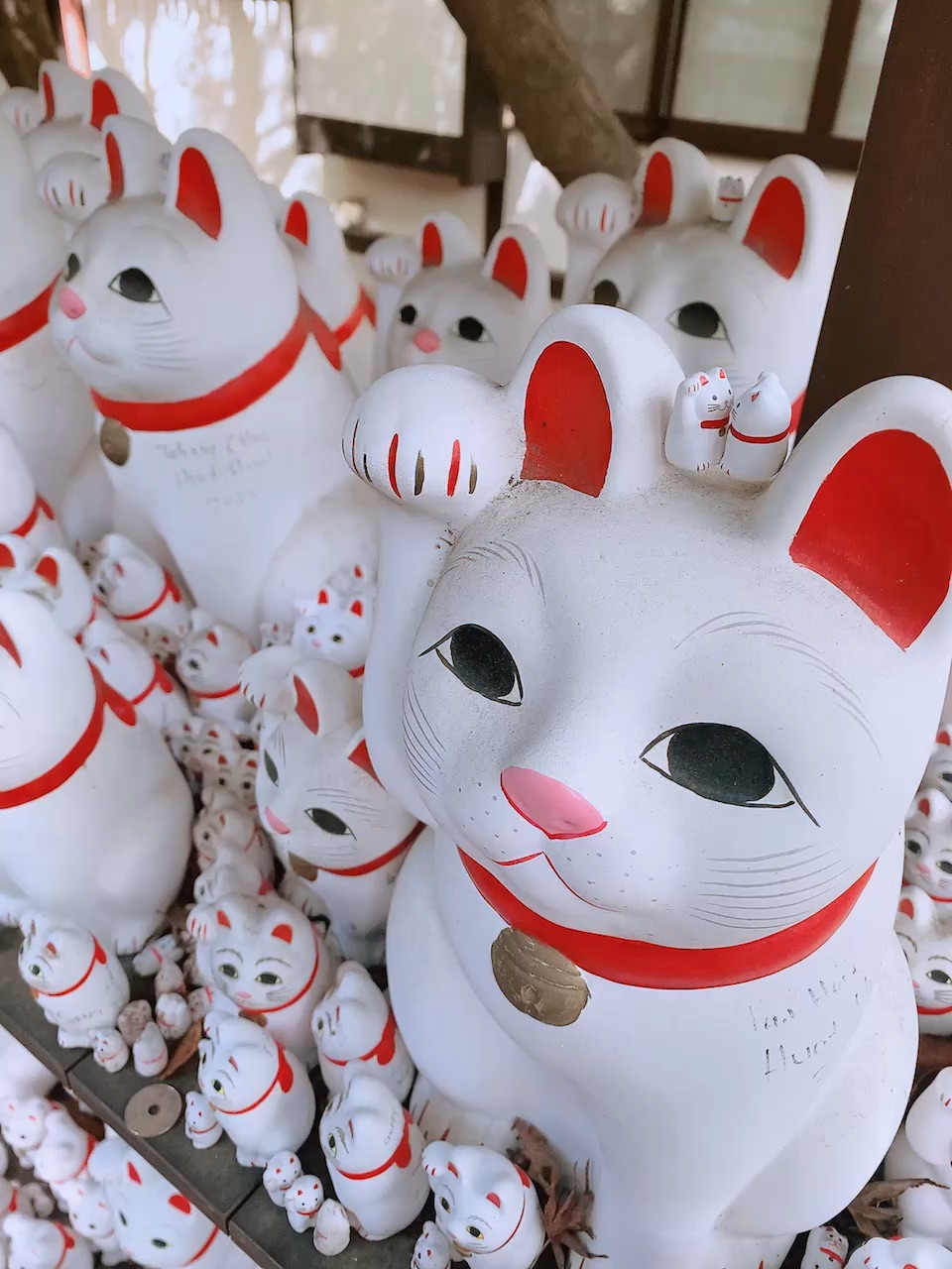 世田谷 豪德寺 | 去趣 chicTrip