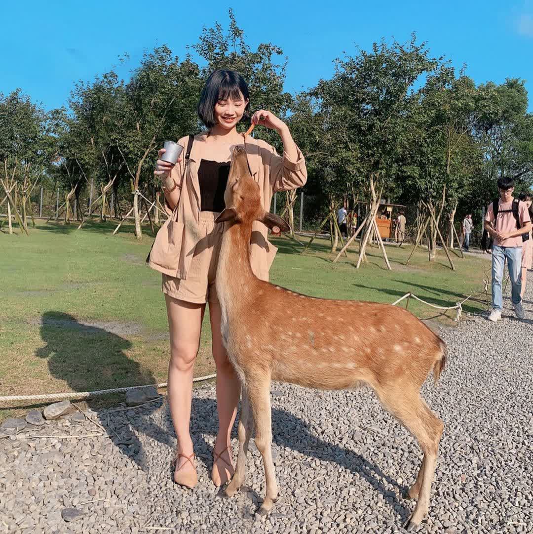 宜蘭-斑比山丘 | 去趣 chicTrip