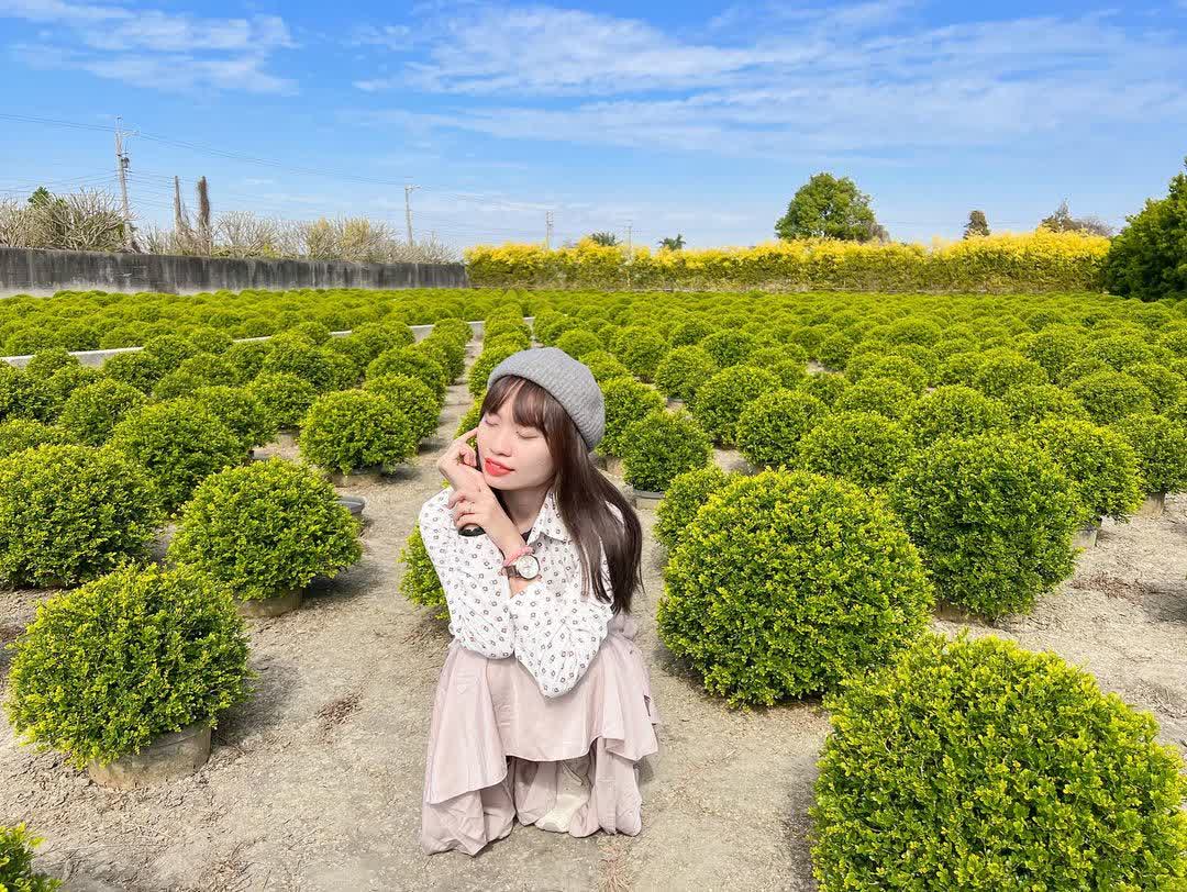 彰化田尾波波草 | 去趣 chicTrip