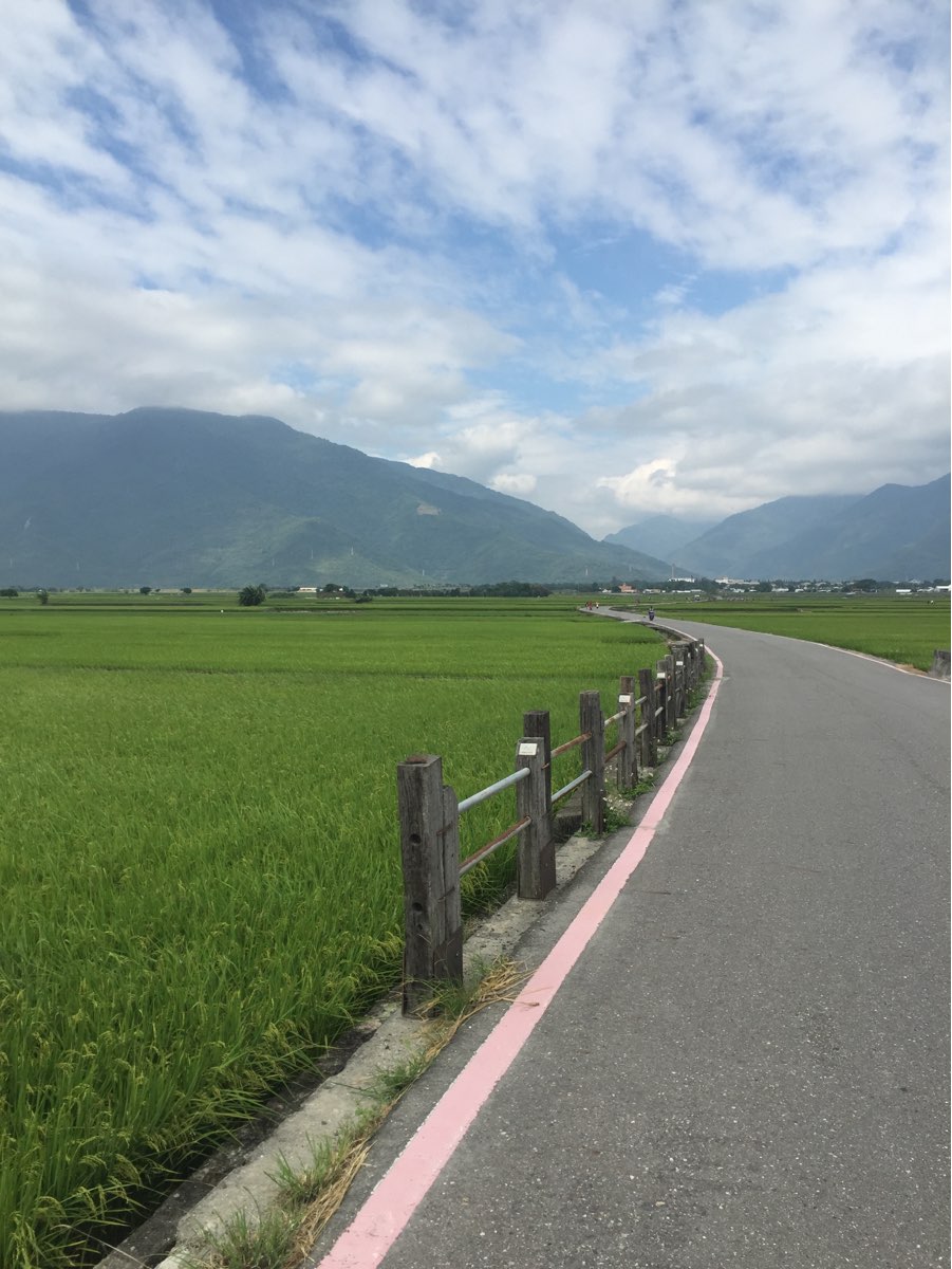 臺東池上錦新三號道路 伯朗大道 | 去趣 chicTrip