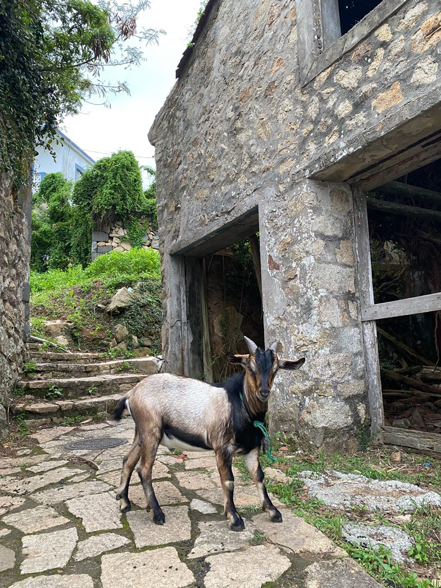 津沙聚落 | 去趣 chicTrip