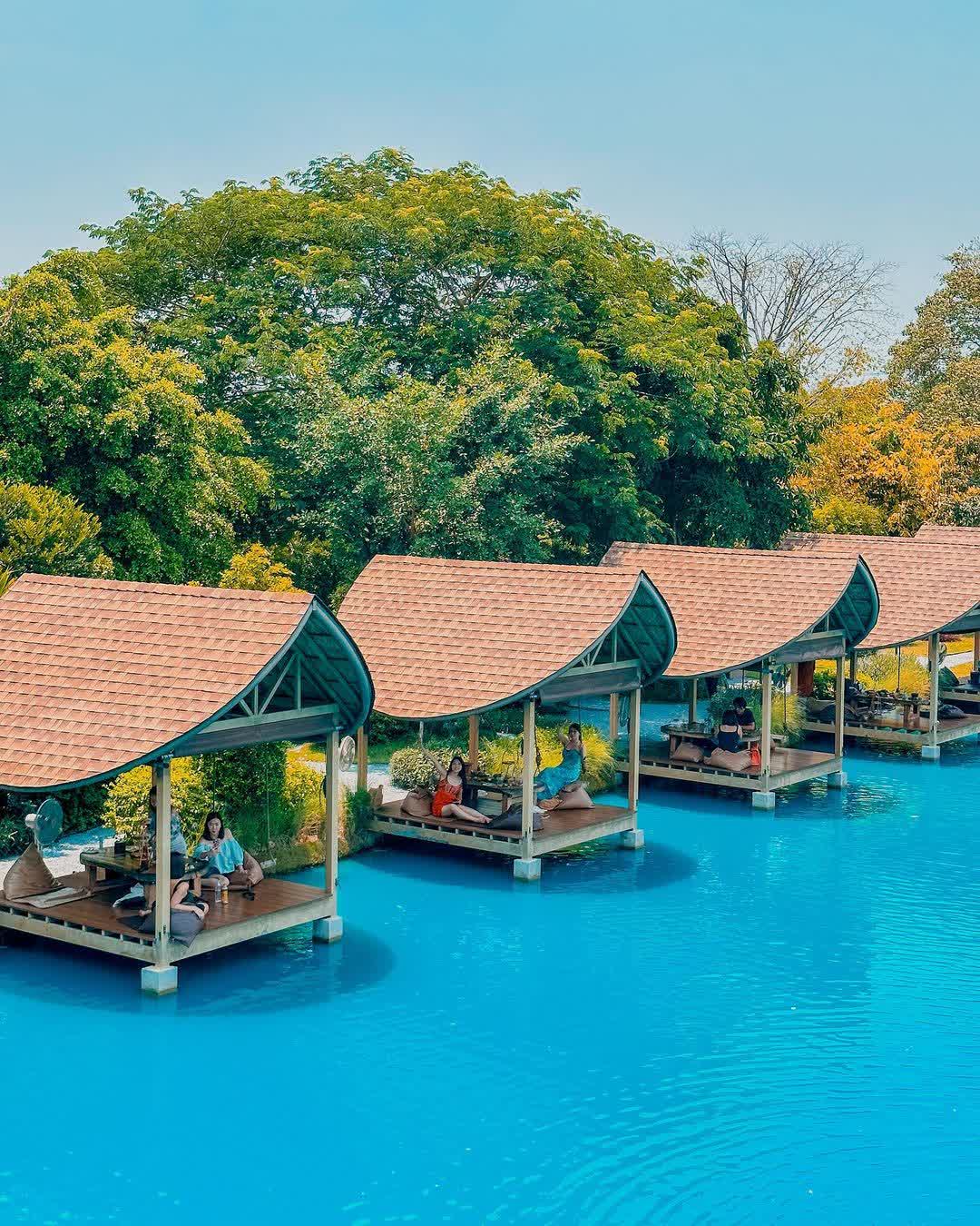 Bubble in the Forest Cafe | 去趣 chicTrip