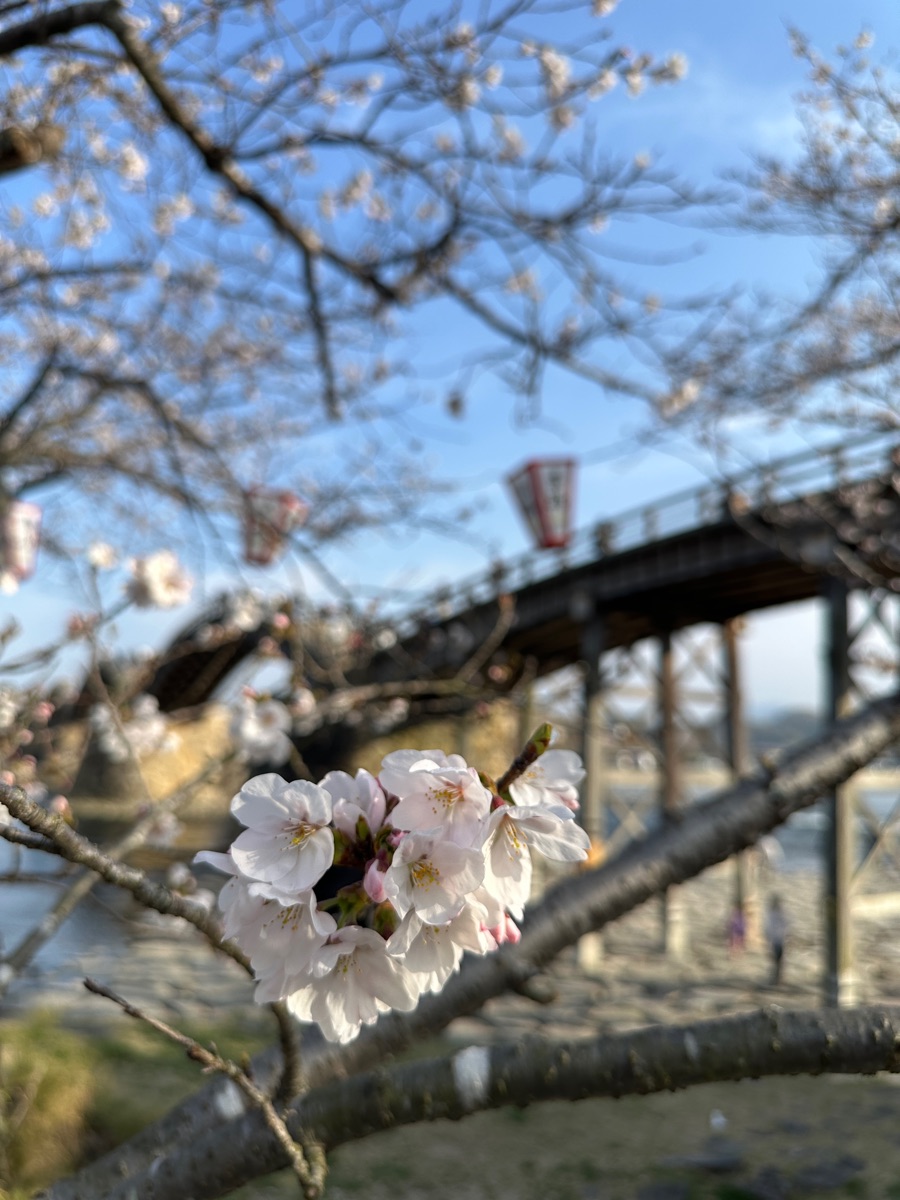 錦帶橋 | 去趣 chicTrip