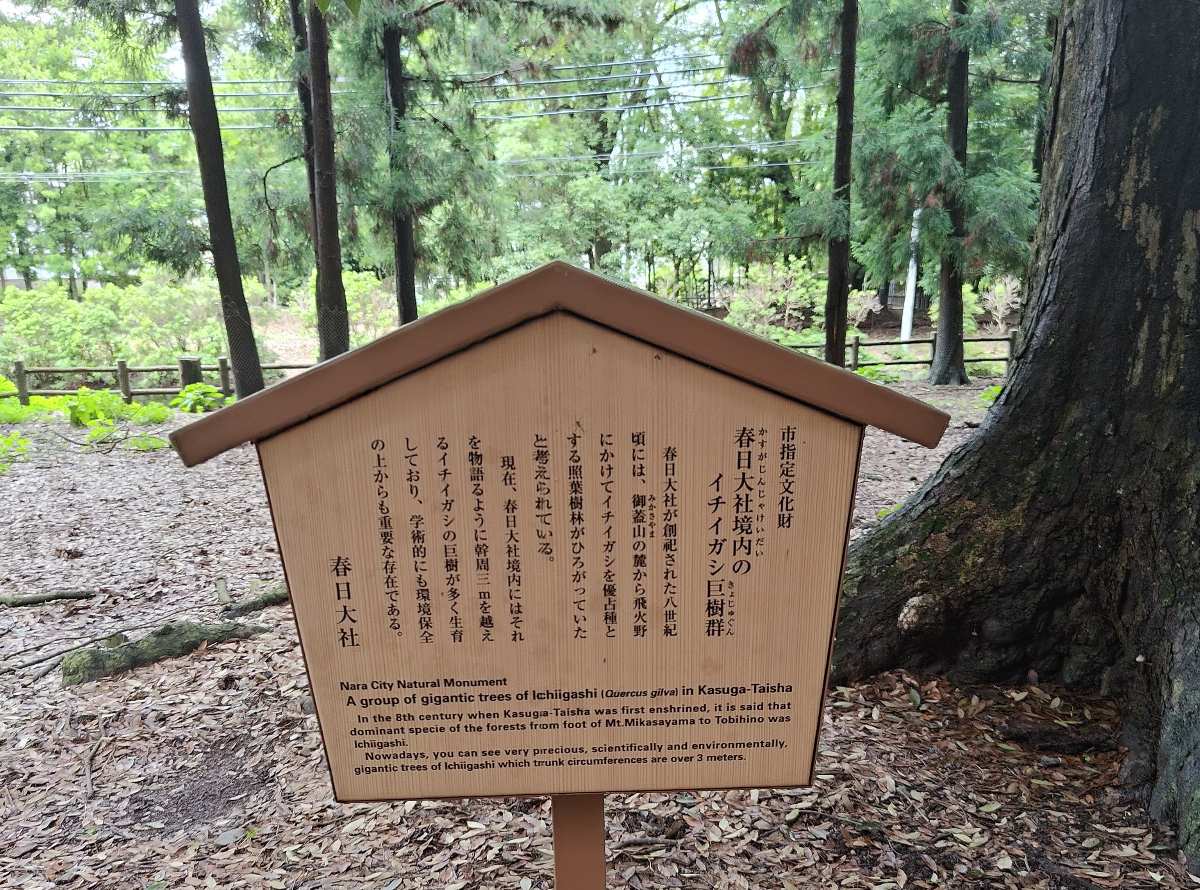 奈良公園 | 去趣 chicTrip