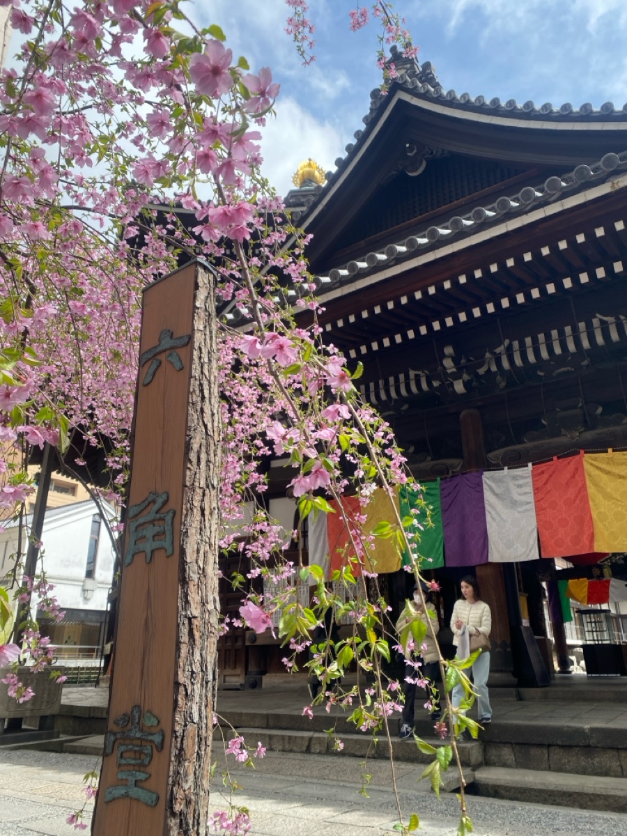 紫雲山 頂法寺（六角堂） | 去趣 chicTrip