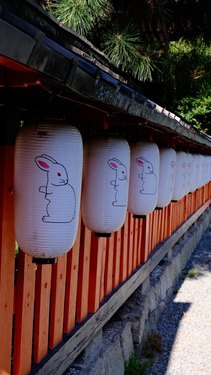 宇治神社 (兔子神社） | 去趣 chicTrip