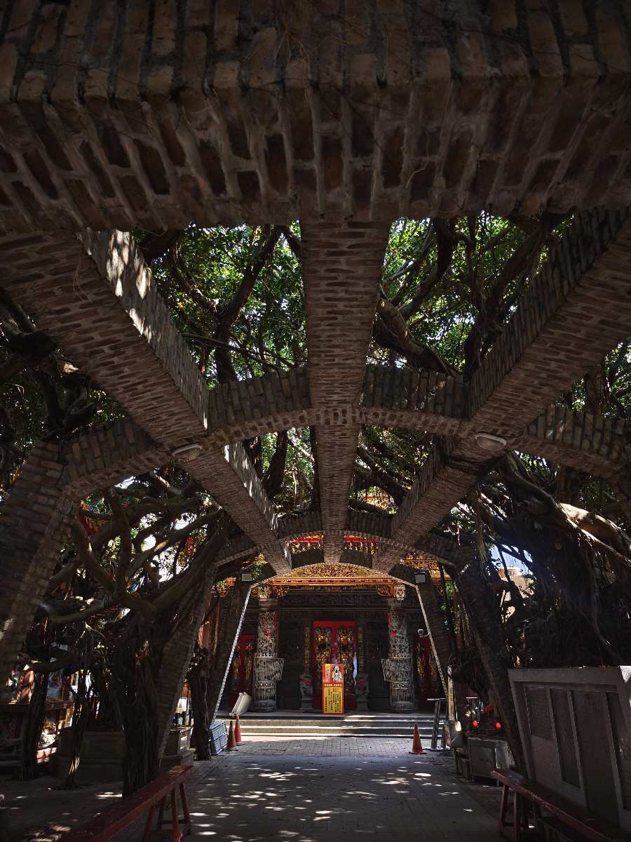 通梁古榕 | 去趣 chicTrip