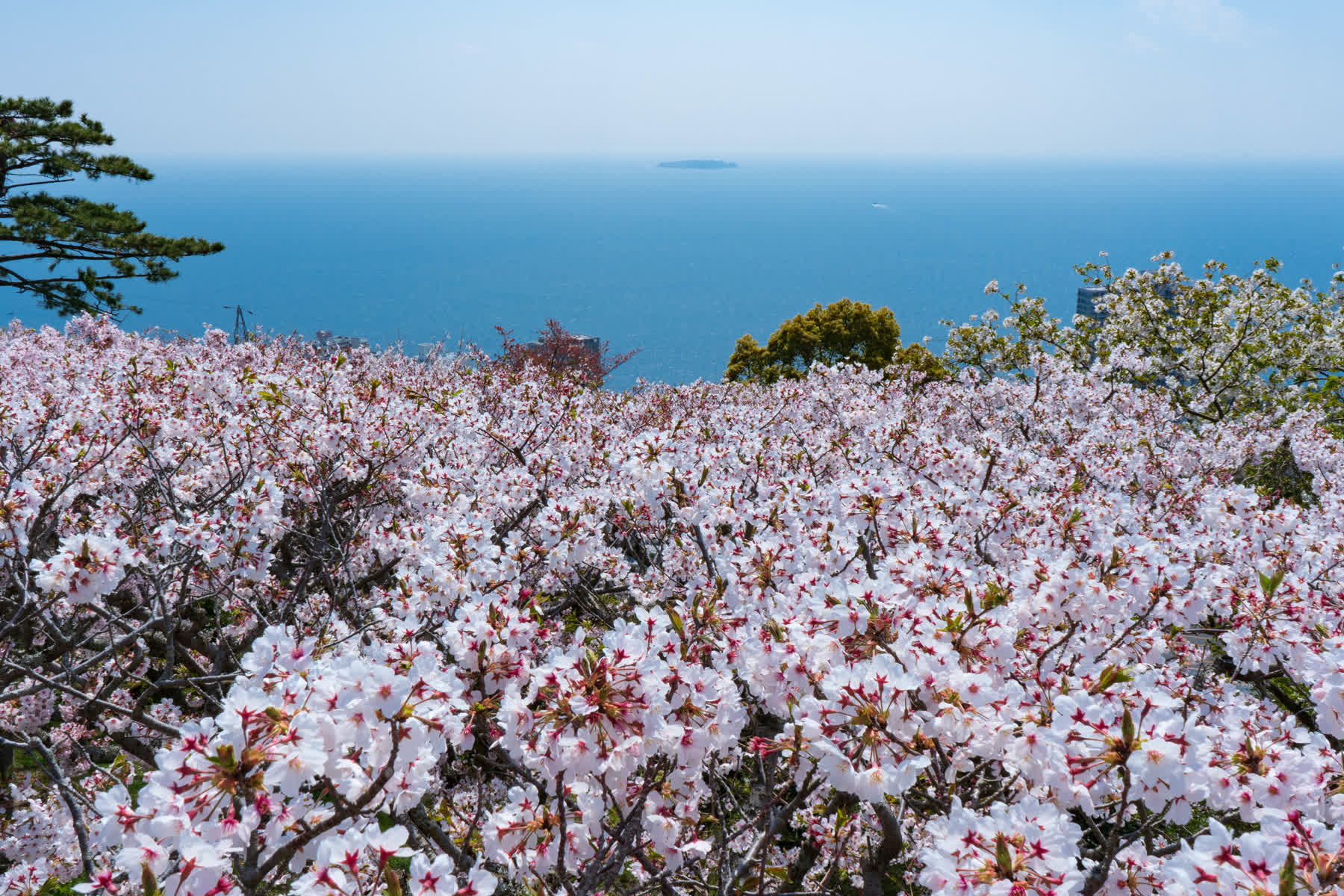 MOA美術館 | 去趣 chicTrip
