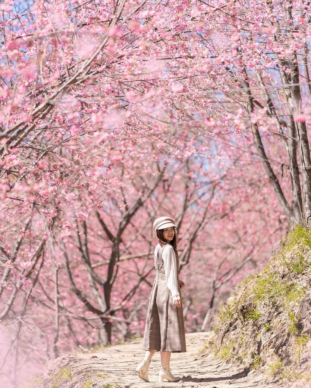 司馬庫斯 | 去趣 chicTrip