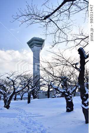 Goryōkaku Tower | 去趣 chicTrip
