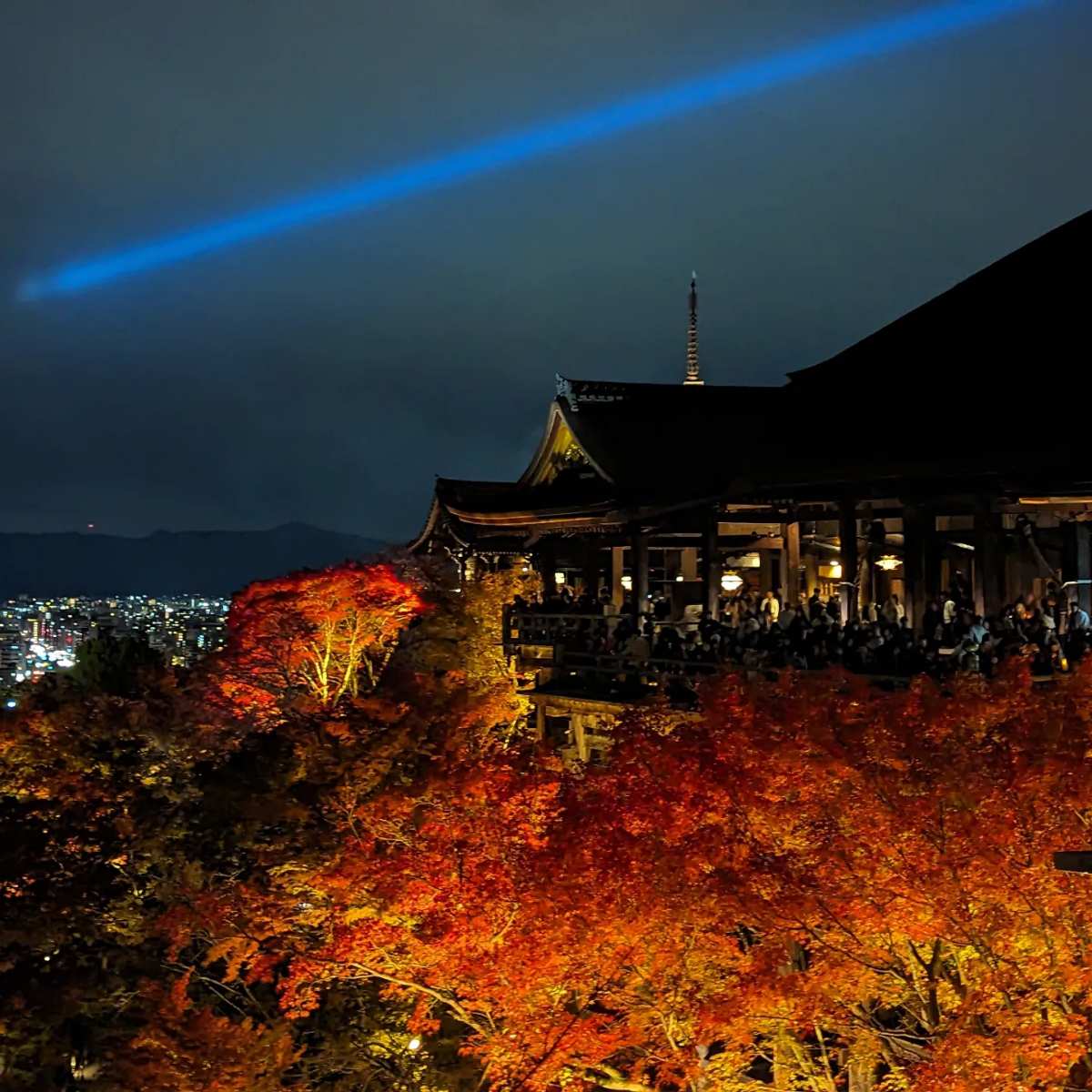 清水寺 | 去趣 chicTrip