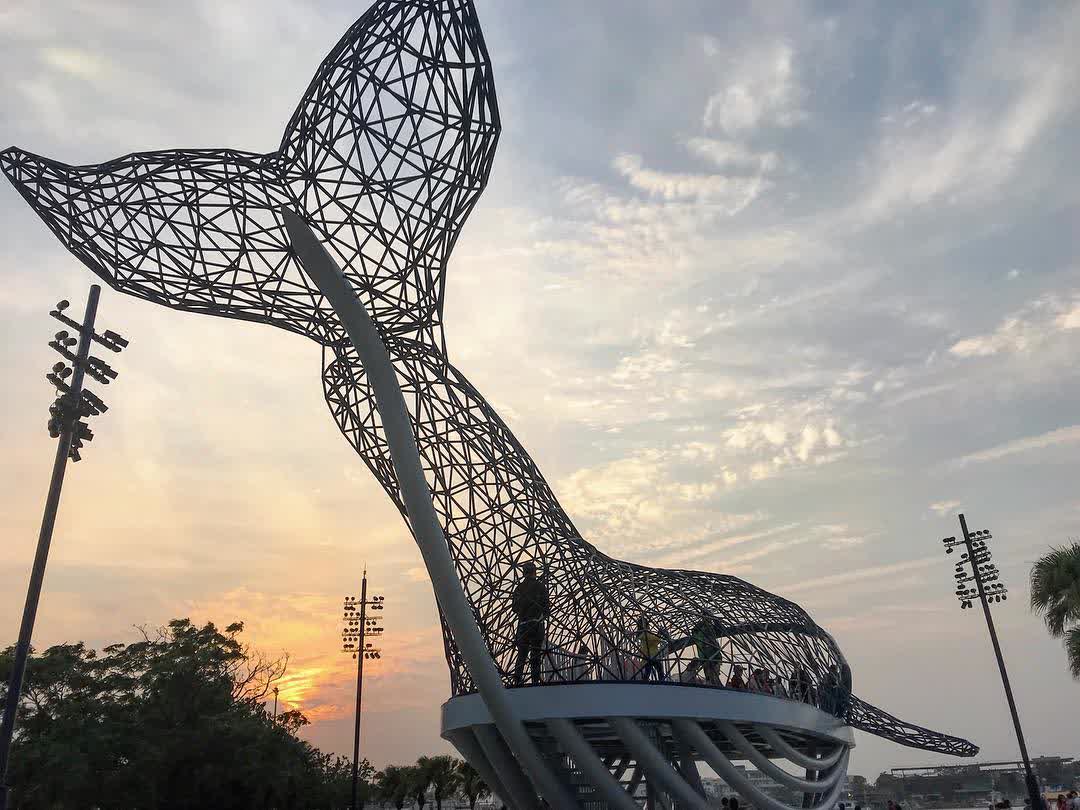 大魚的祝福 | 去趣 chicTrip