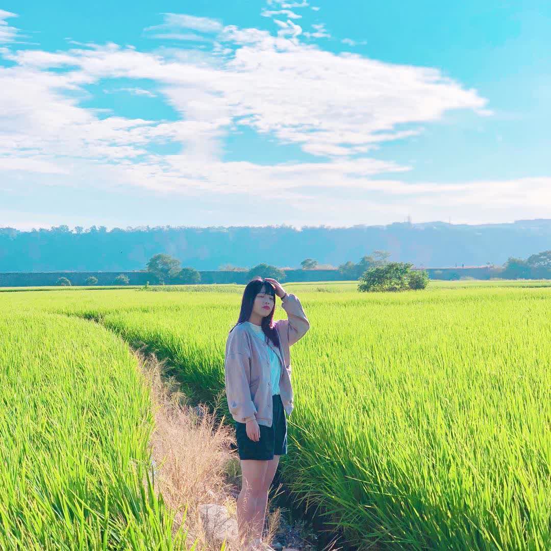 外埔忘憂谷 | 去趣 chicTrip