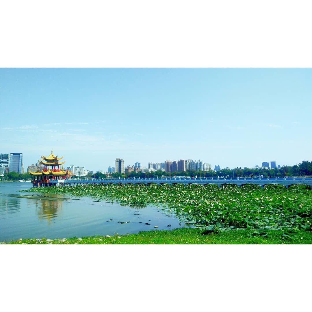 蓮池潭風景區 | 去趣 chicTrip