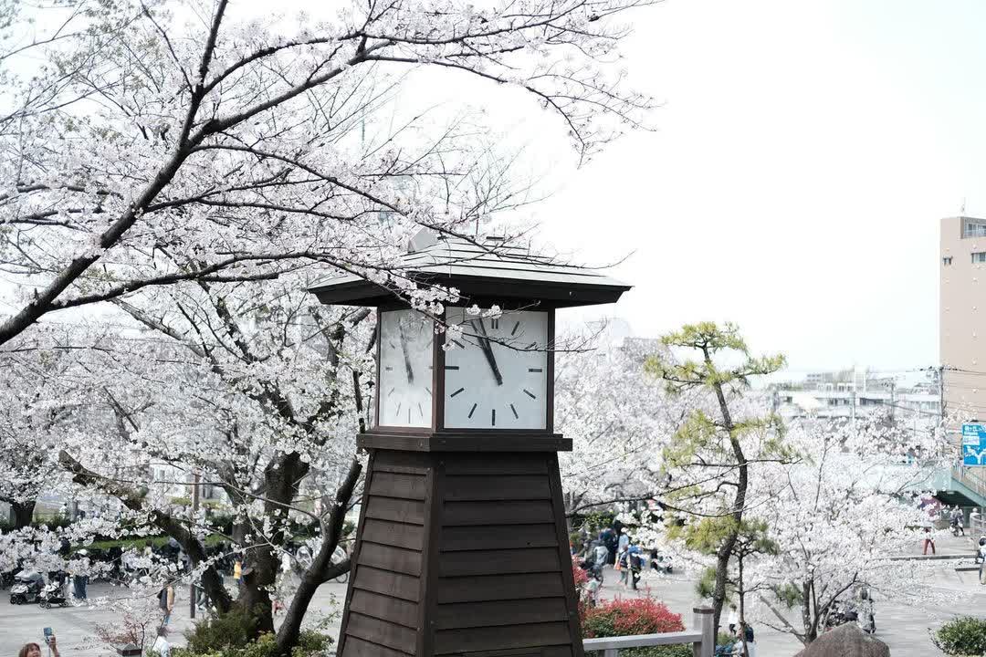 飛鳥山公園 | 去趣 chicTrip