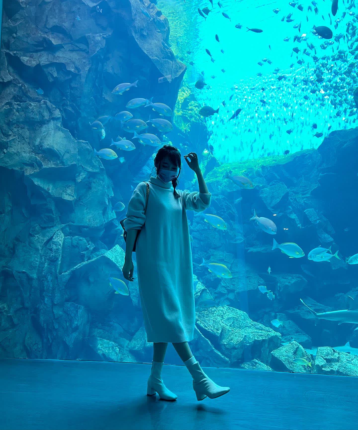 Xpark 水族館 | 去趣 chicTrip