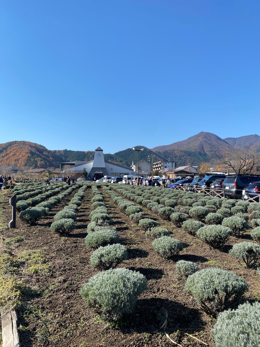 河口湖自然生活館 | 去趣 chicTrip