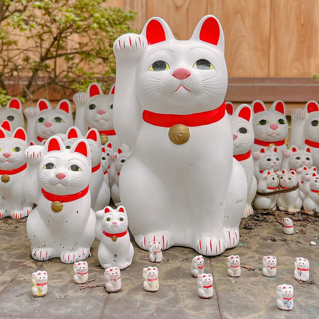 世田谷 豪德寺 | 去趣 chicTrip