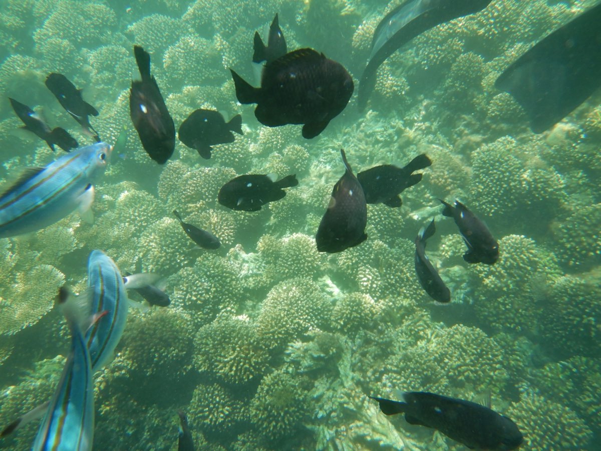 金瓜仔礁（忘憂島） | 去趣 chicTrip