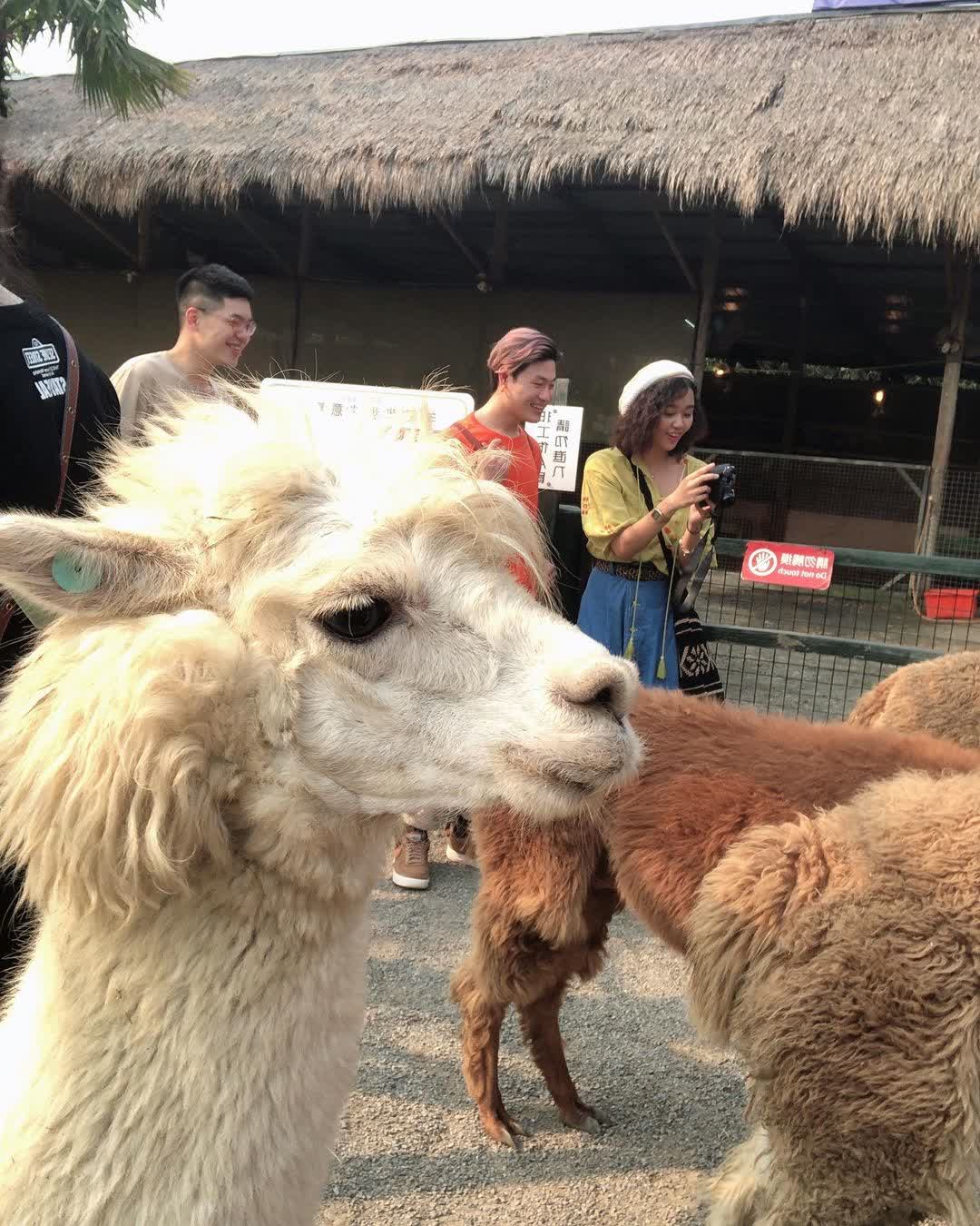 綠世界生態農場 | 去趣 chicTrip