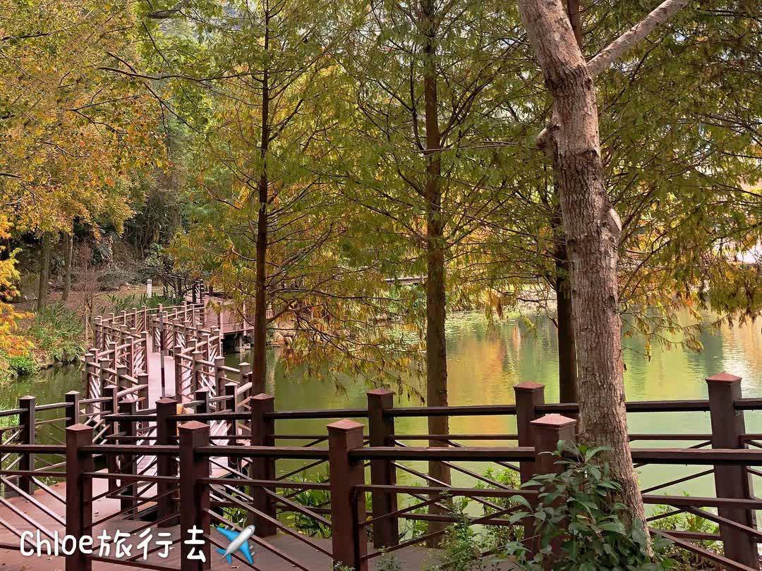 車埕木業展示館 Checheng Logging Exhibition Hall | 去趣 chicTrip