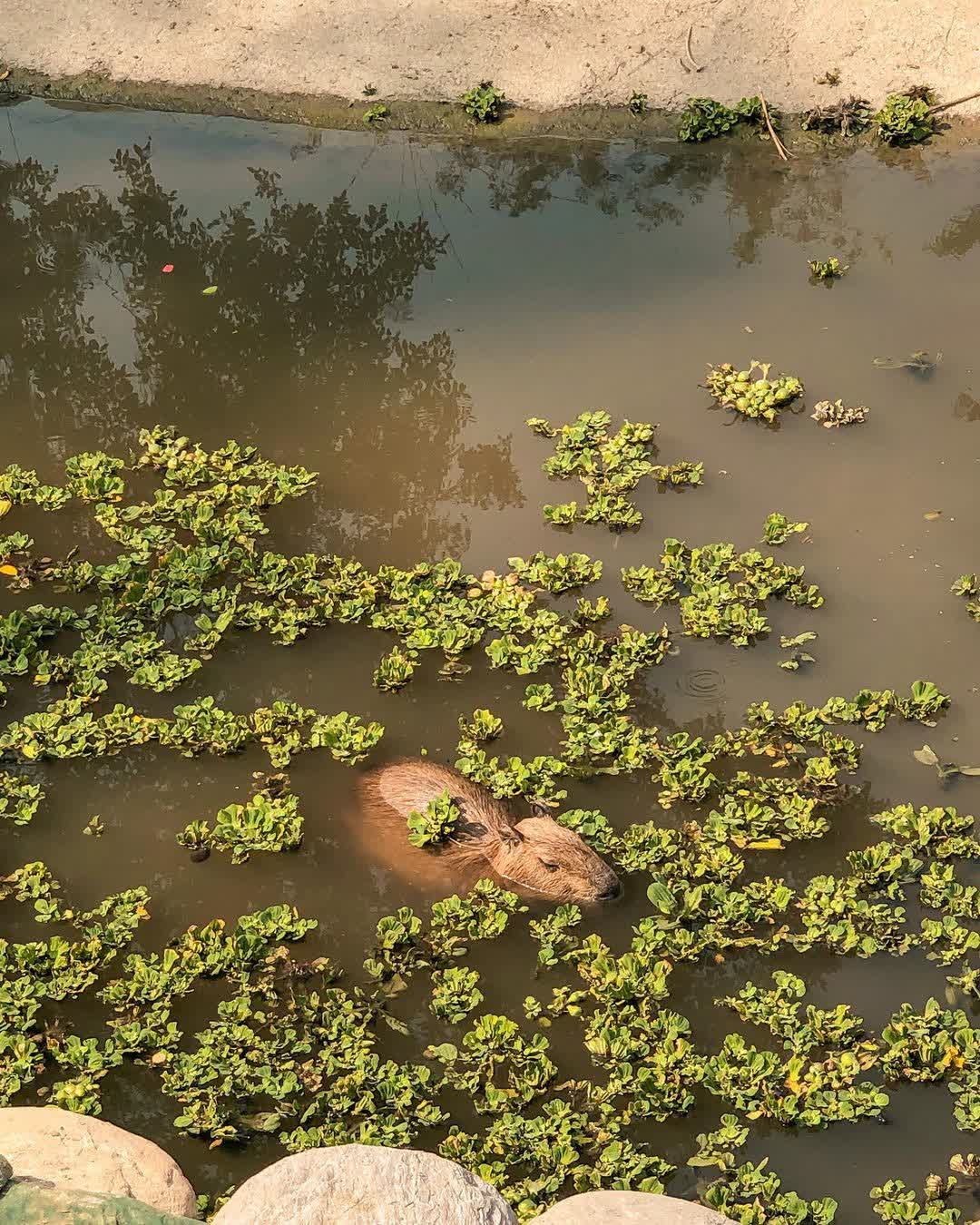 頑皮世界野生動物園 | 去趣 chicTrip