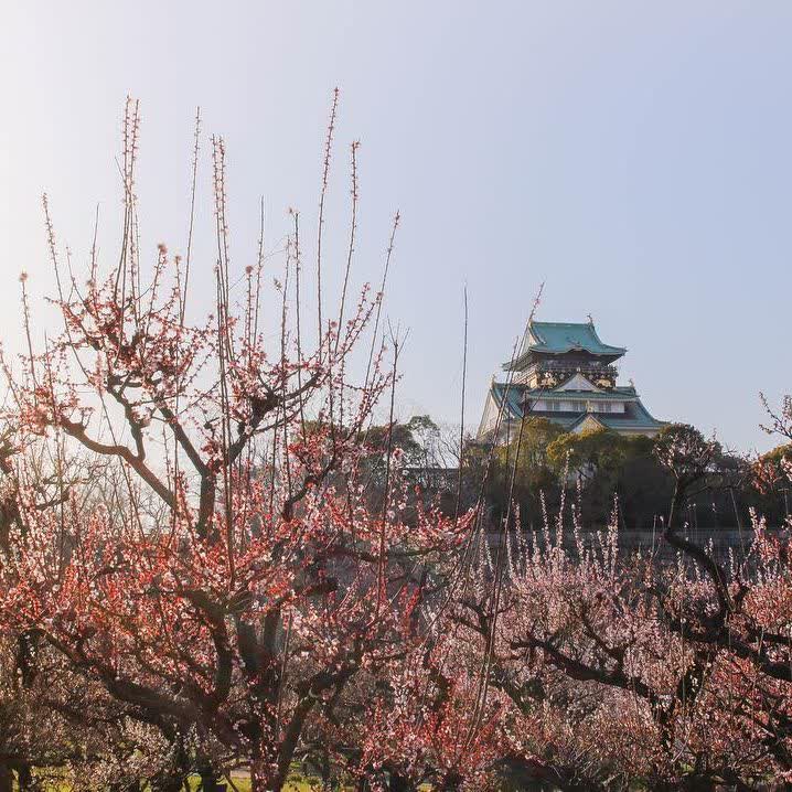 大阪城 天守閣 | 去趣 chicTrip