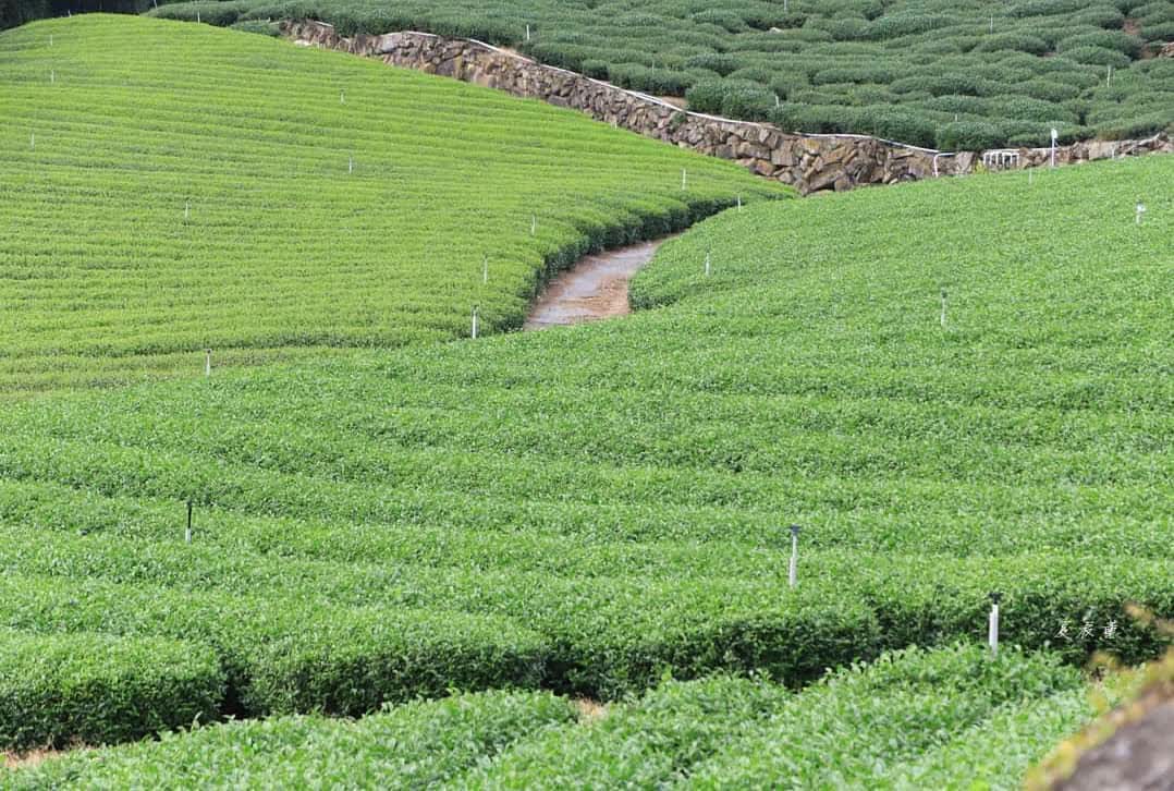 優遊吧斯鄒族文化部落 | 去趣 chicTrip