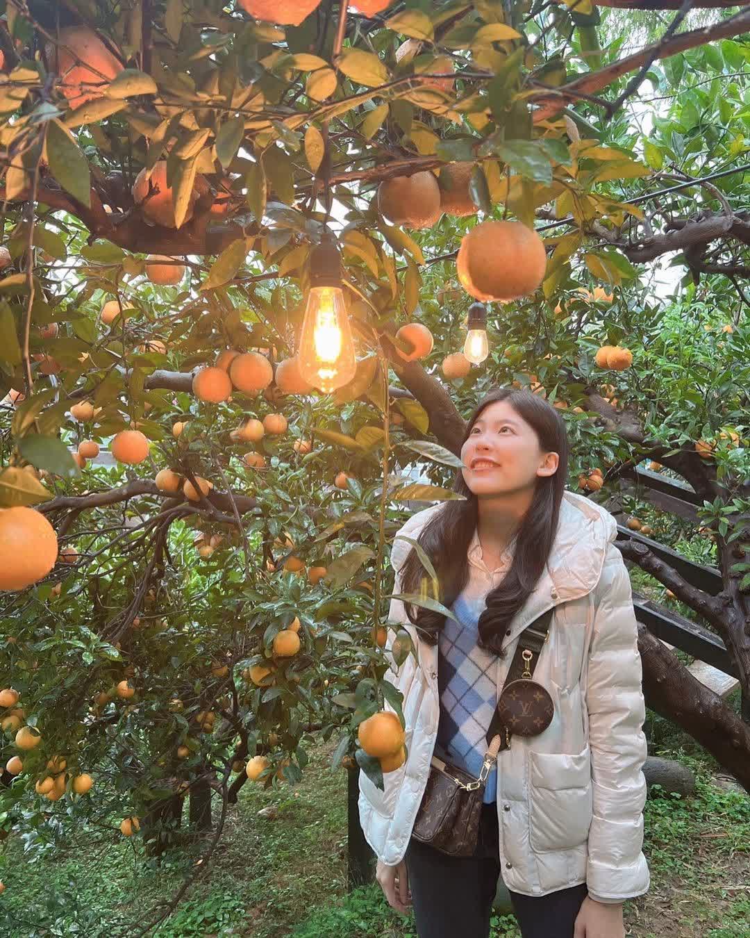 橙香森林 | 去趣 chicTrip