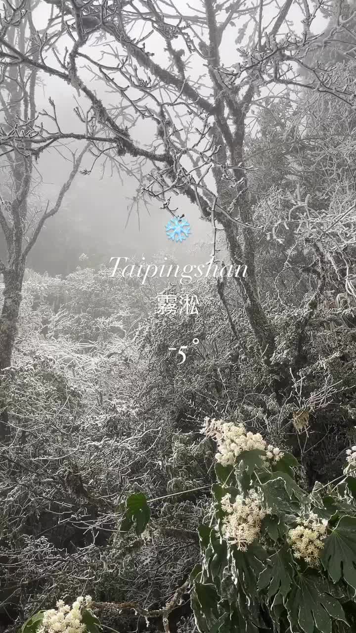 太平山國家森林遊樂區