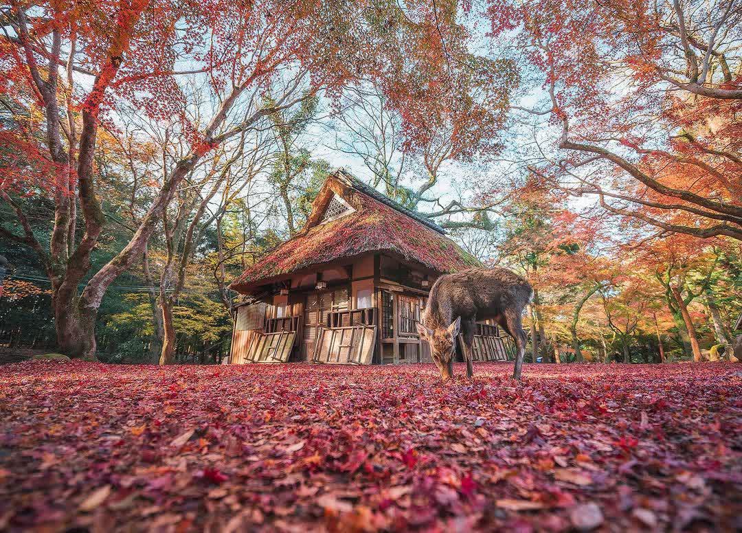 水谷茶屋 | 去趣 chicTrip