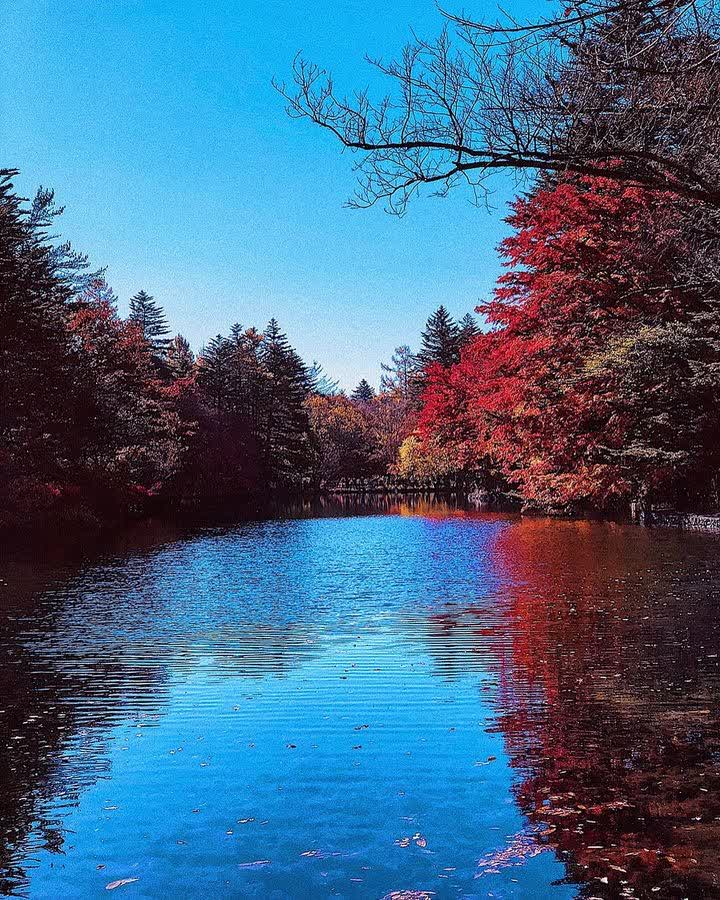 Kumoba Pond | 去趣 chicTrip