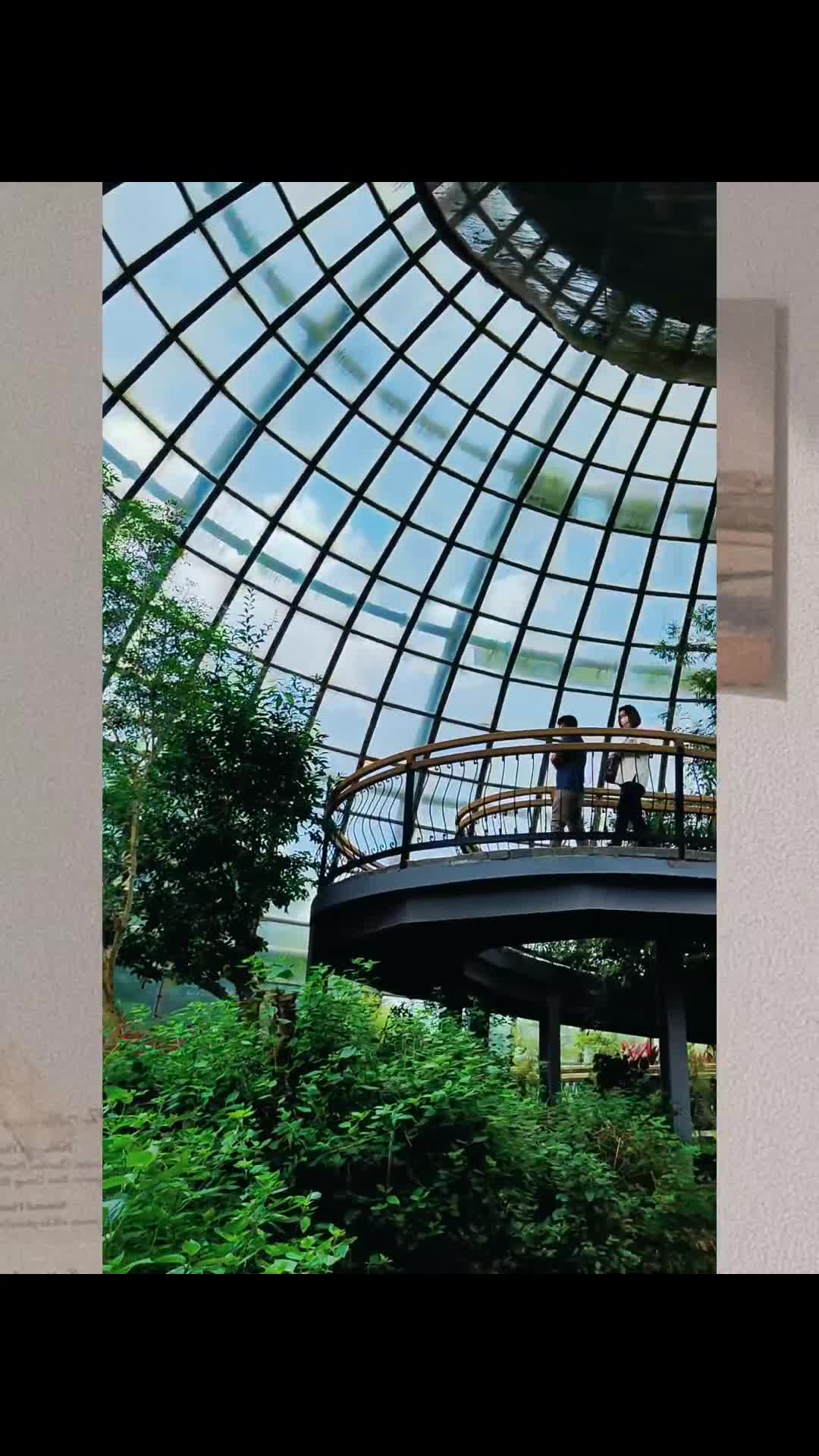 嘉大昆蟲館 | 去趣 chicTrip