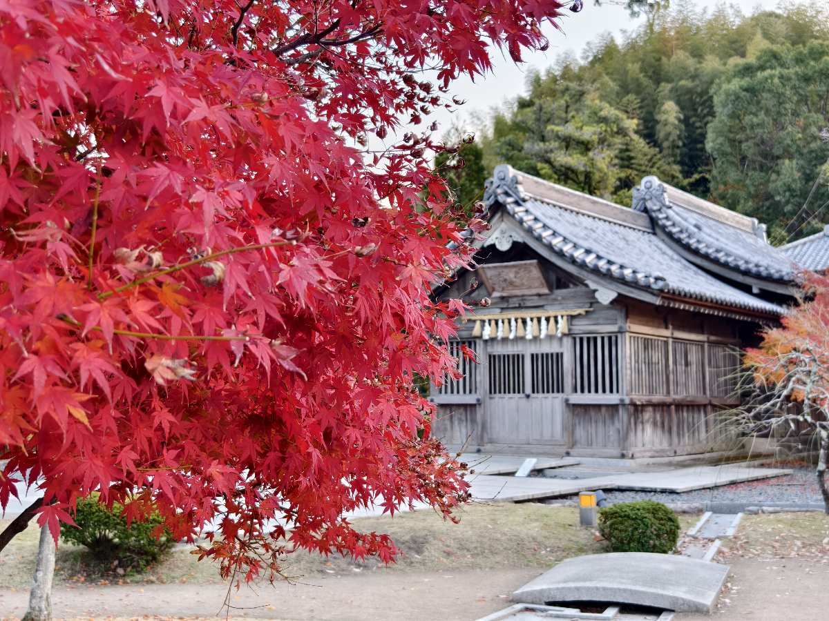 太宰府天滿宮 | 去趣 chicTrip