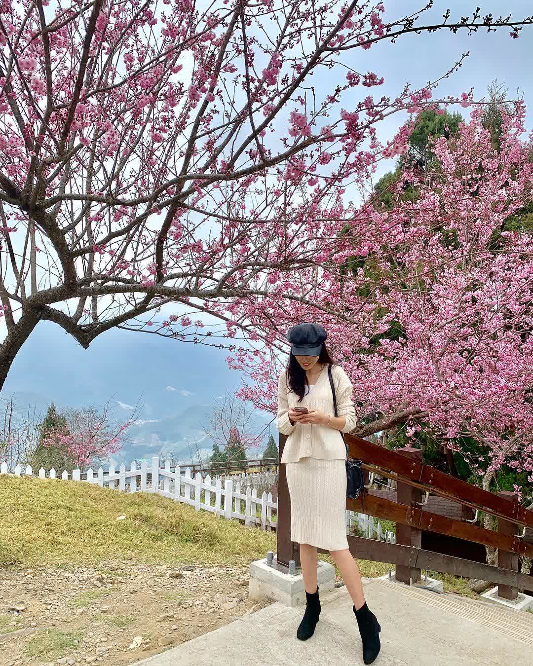 清境農場青青草原 | 去趣 chicTrip