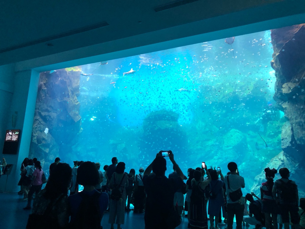 Xpark 水族館 | 去趣 chicTrip