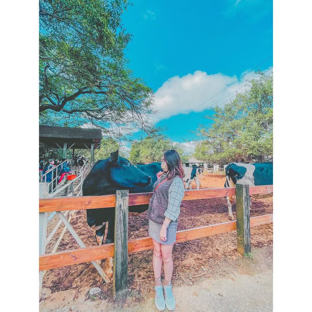 埔心牧場 | 去趣 chicTrip