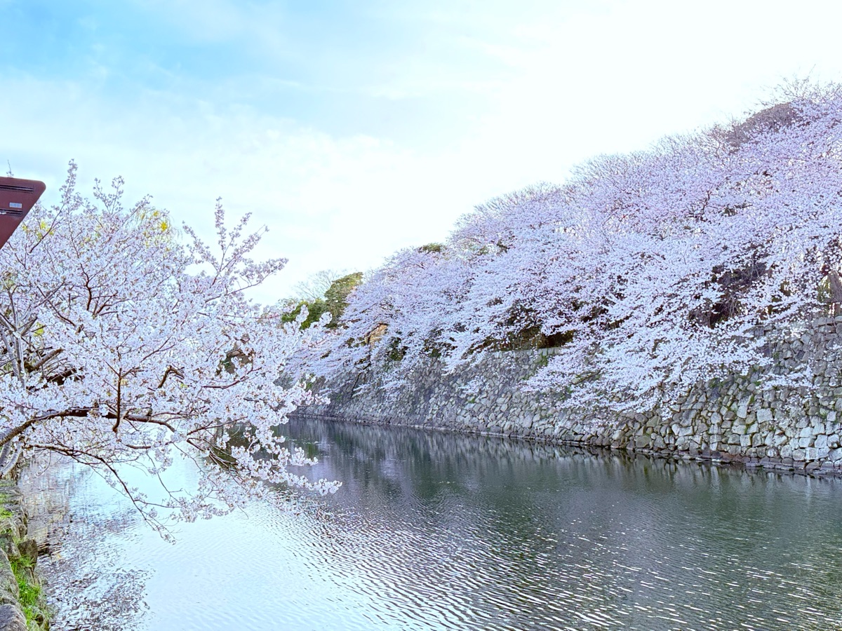 彥根城 | 去趣 chicTrip