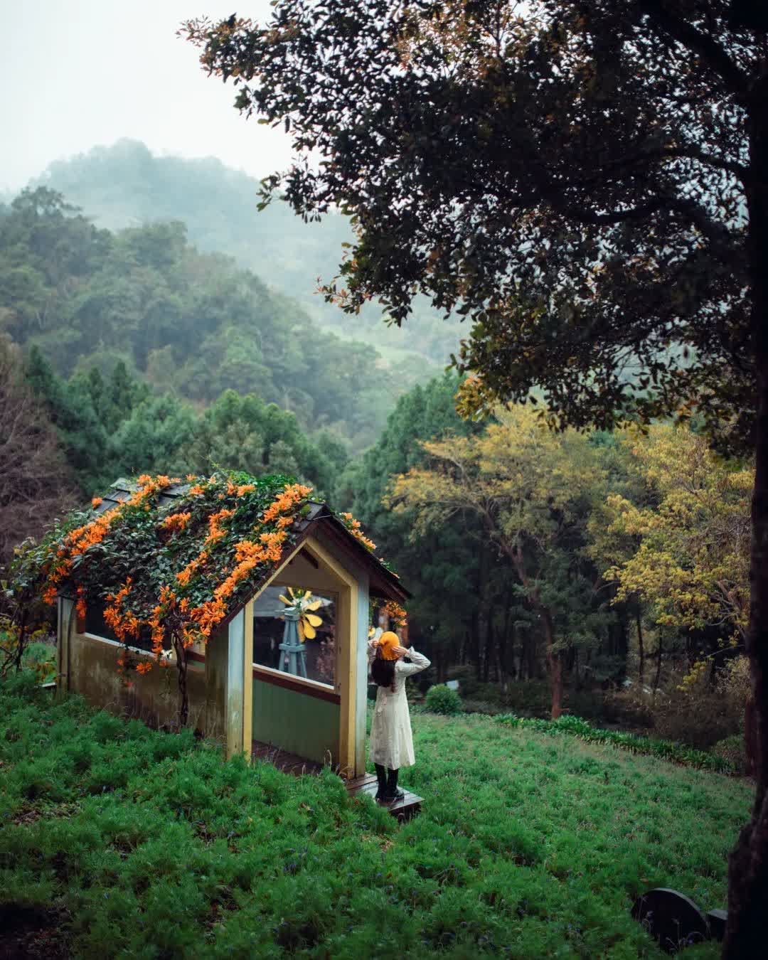 薰衣草森林台中新社店 | 去趣 chicTrip