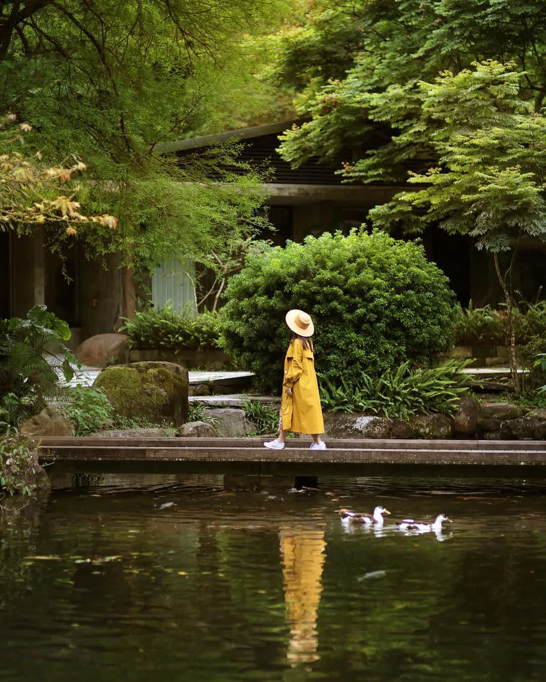 紫森林-三富休閒農場