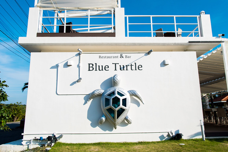 Blue Turtle | 去趣 chicTrip