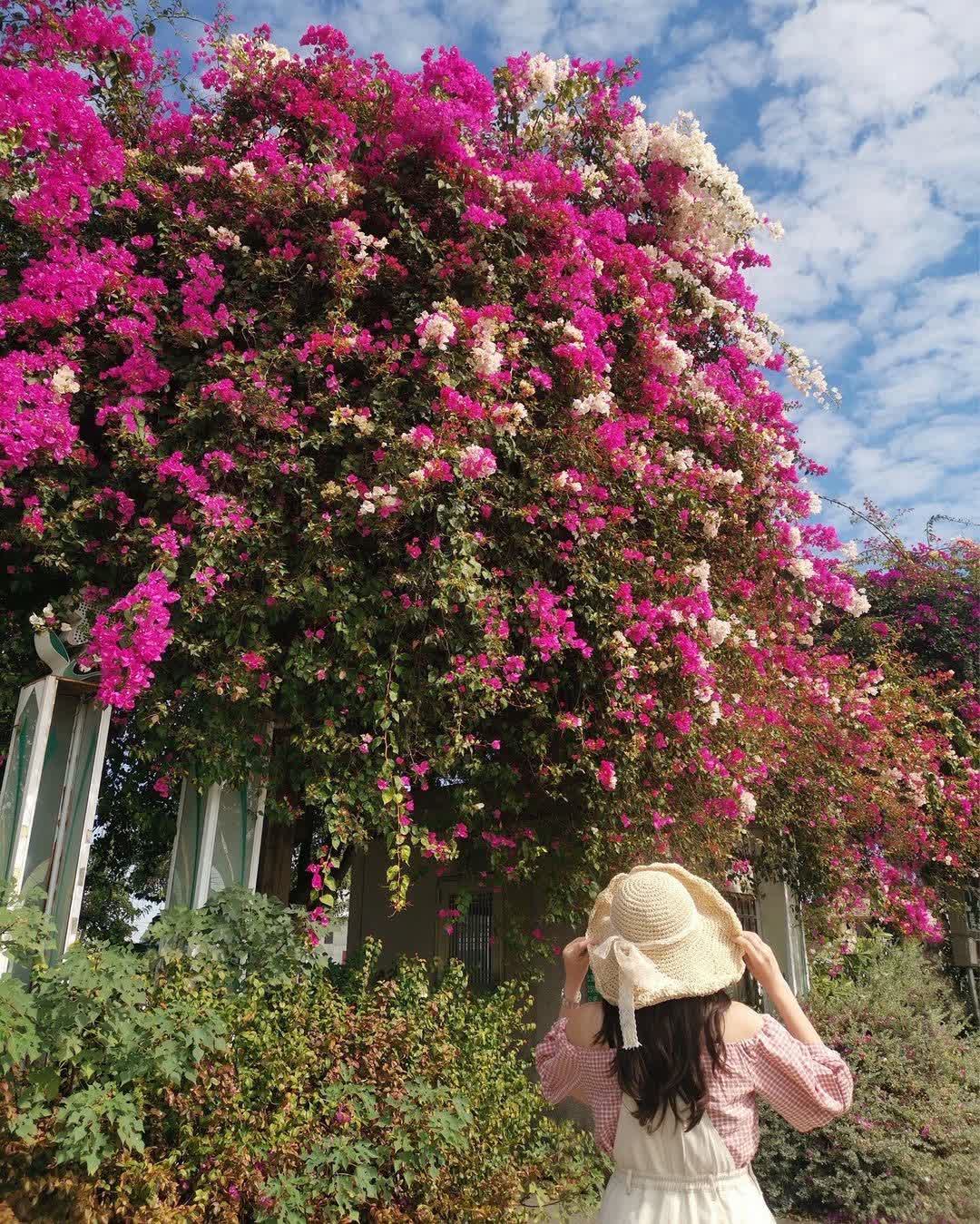 田尾公路花園 | 去趣 chicTrip