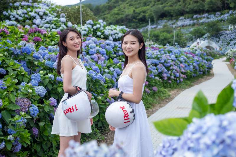 竹子湖 | 去趣 chicTrip