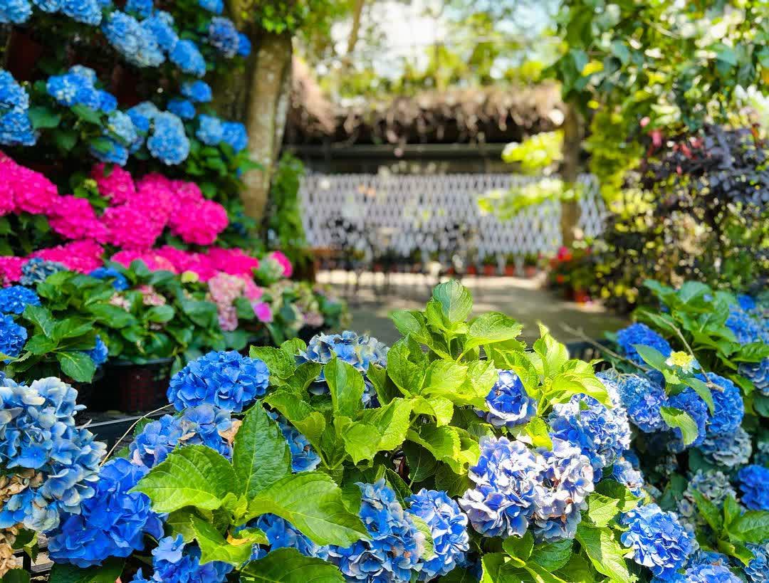 花露農場 Flower Home | 去趣 chicTrip