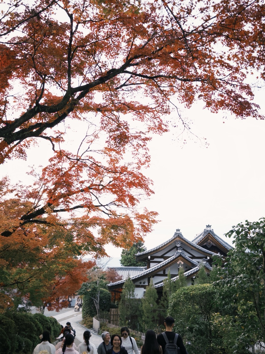 清水寺 | 去趣 chicTrip