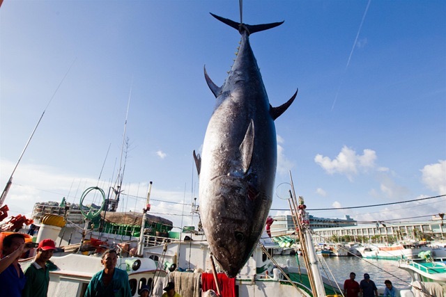 東港漁港漁產品直銷中心（華僑市場） | 去趣 chicTrip